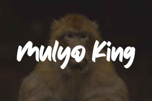 Mulyo King: A Bold Handwritten Script Font for Makers